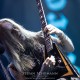 twilight-metal-days-2018_Children Of Bodom-402.jpg